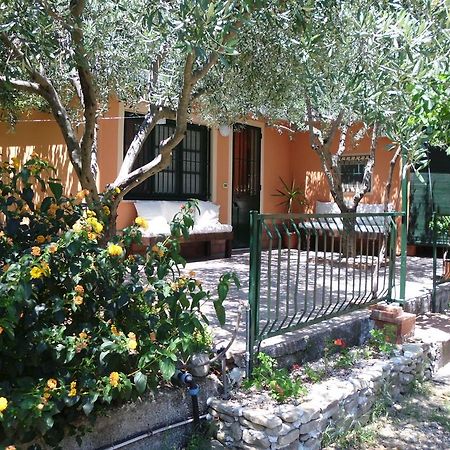 Villa Il Vigneto Gaggi Camera foto