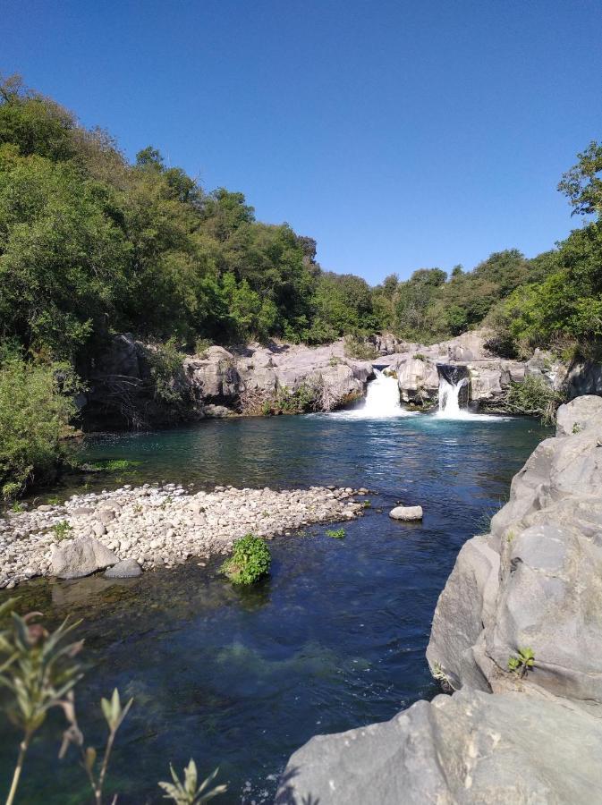 Villa Il Vigneto Gaggi Esterno foto