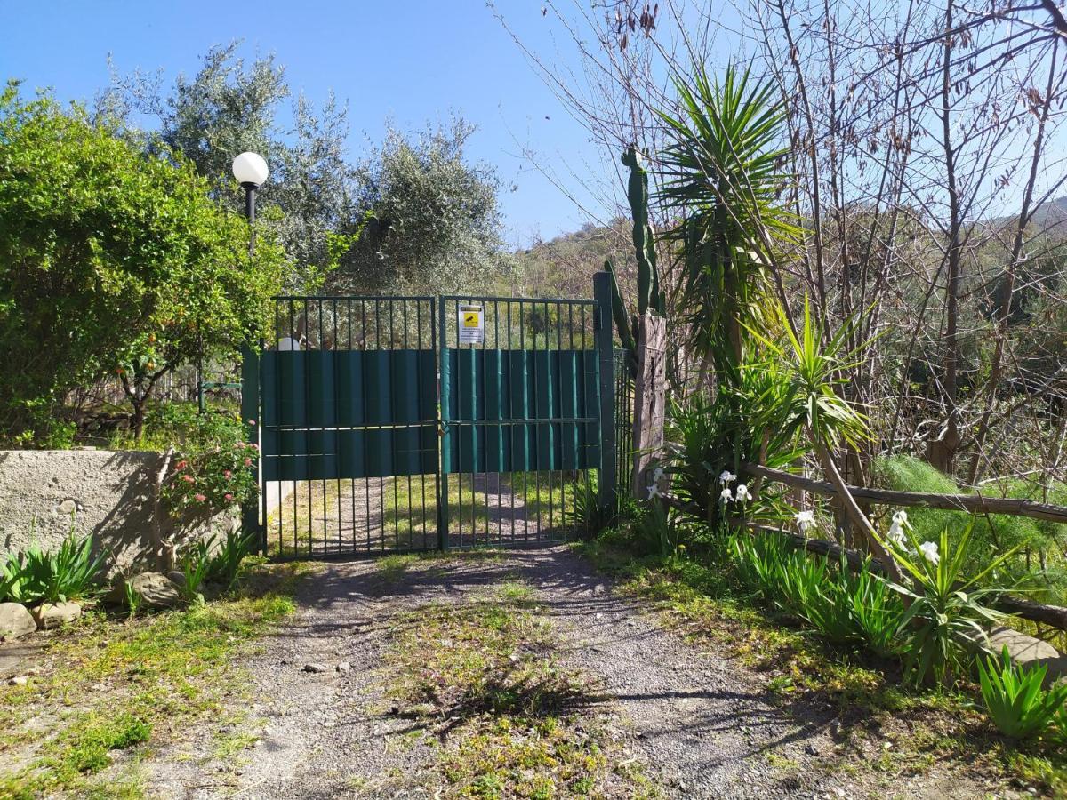 Villa Il Vigneto Gaggi Esterno foto